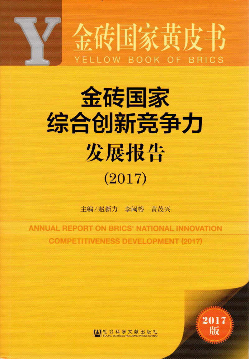 透板鸡视频金砖国家综合创新竞争力发展报告（2017）